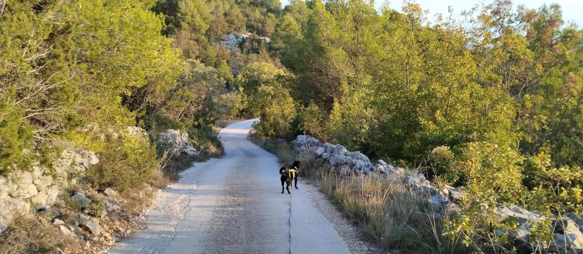 Kuca Mali Raj - Little Paradise Šibenik Exteriér fotografie